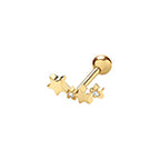 9ct Yellow Gold Earrings