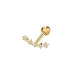 9ct Yellow Gold Earrings