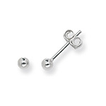 Sterling Silver Earrings