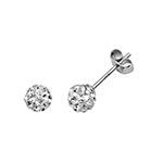 Sterling Silver Earrings