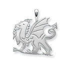 Sterling Silver Pendant
