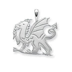 Sterling Silver Pendant