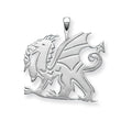 Sterling Silver Pendant
