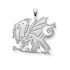 Sterling Silver Pendant
