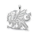 Sterling Silver Pendant