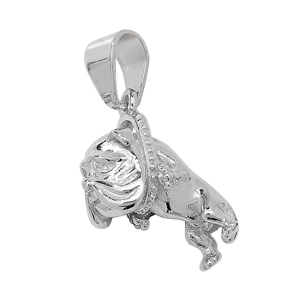 Sterling Silver Pendant