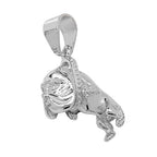 Sterling Silver Pendant