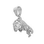 Sterling Silver Pendant