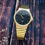 Casio Collection Mens Watch with Brown Dial and Gold Strap MQ-24GA-1AEF