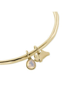 Radley Ladies Sloane Moon Stone Jumping Dog Bangle RYJ3318S