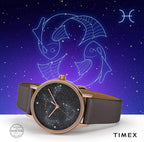 Timex Ladies Watch with Brown Dial with Brown Leather Strap TW2T87700
