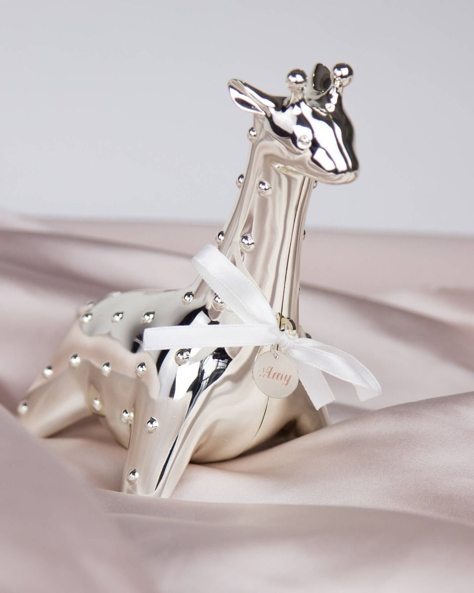 D for Diamond Giraffe Money Box Y422